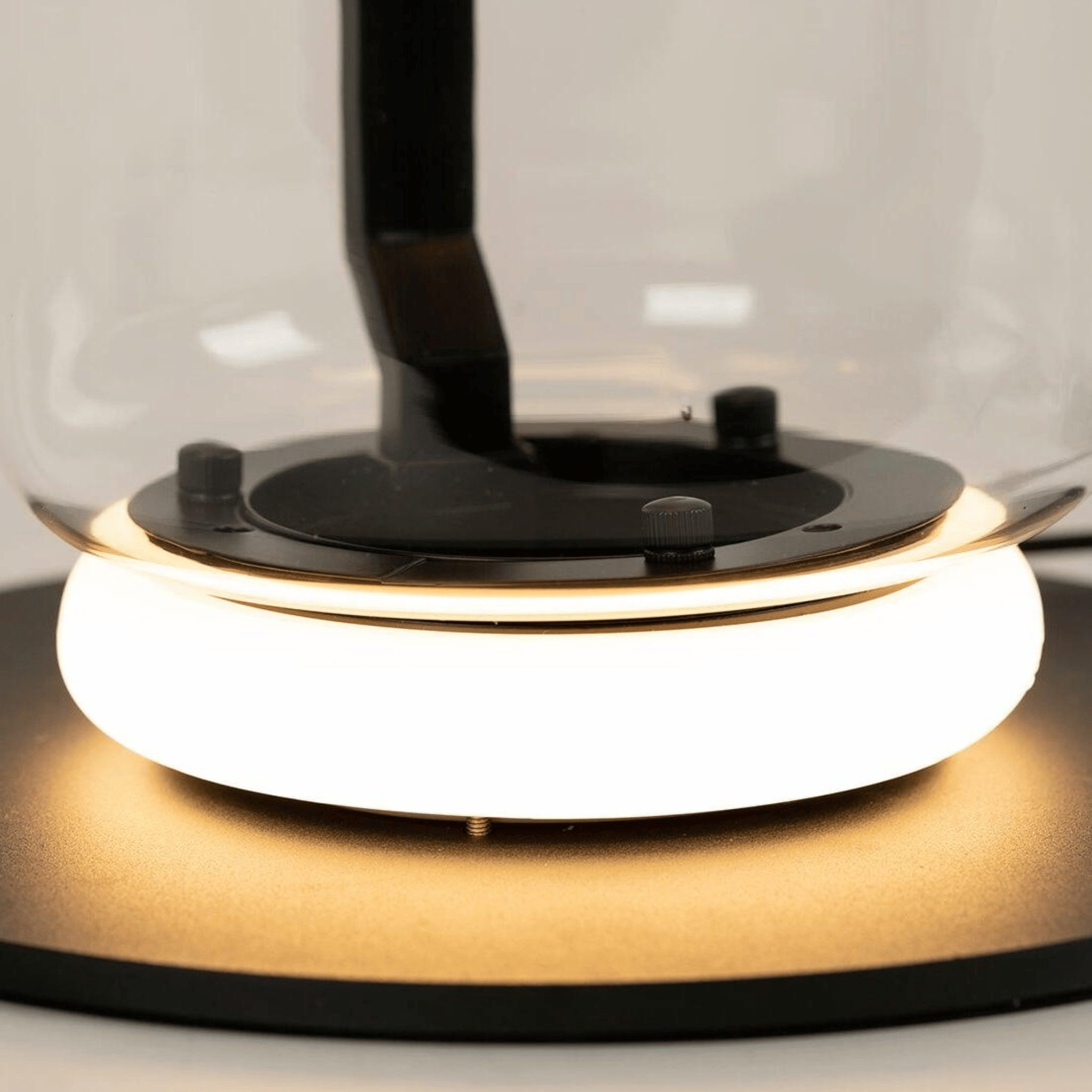 Glaseld Sculptural Glass Floor Lamp for Living Room, Lamps, Hand-Blown