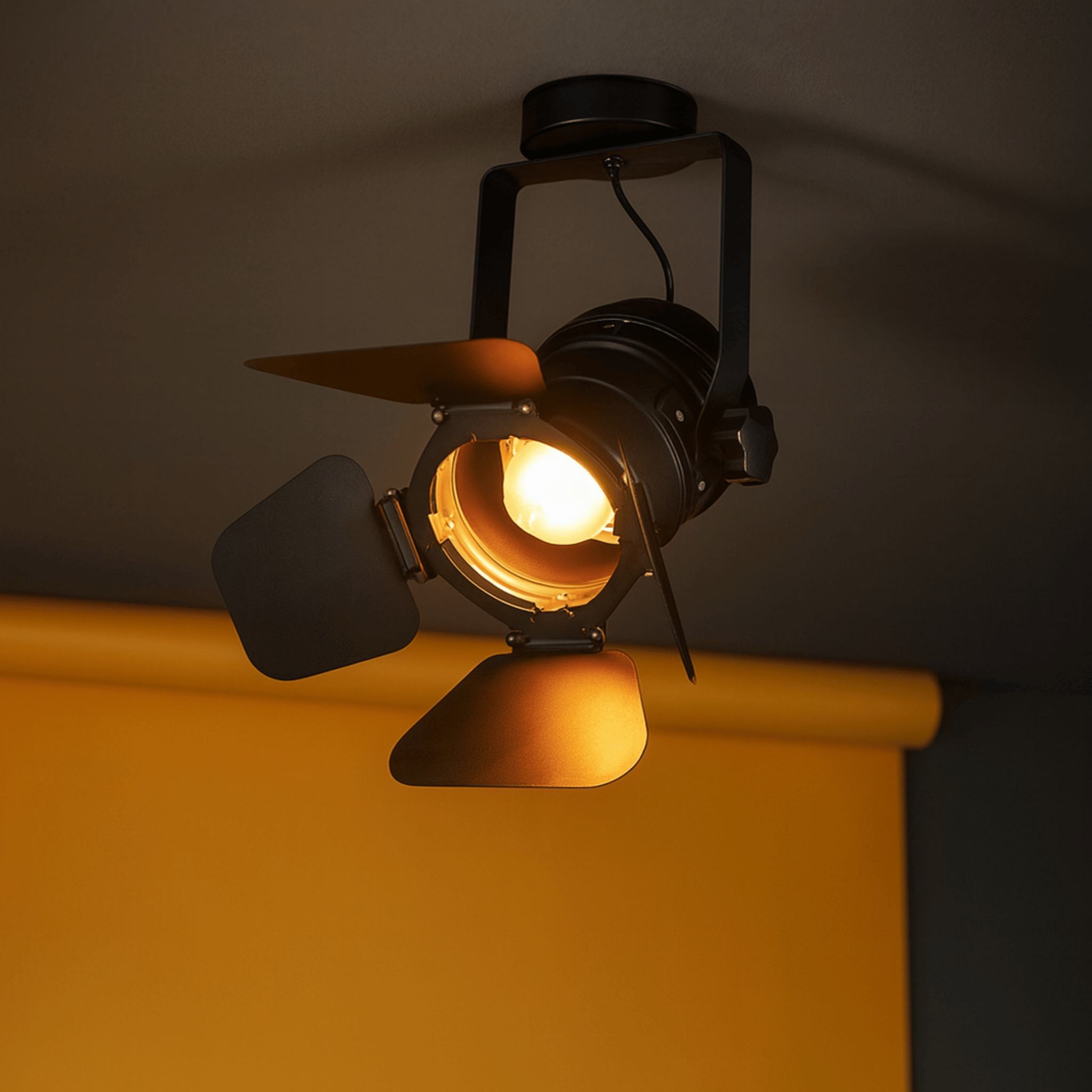 Skena Vintage Barn Door Ceiling Spotlight | Skonne, Small / Cool Light 6000K, Fixtures, Iron